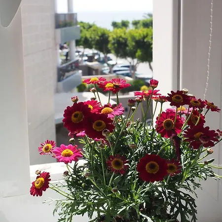 Mediterranea Beach Matutes Noguera Apartman